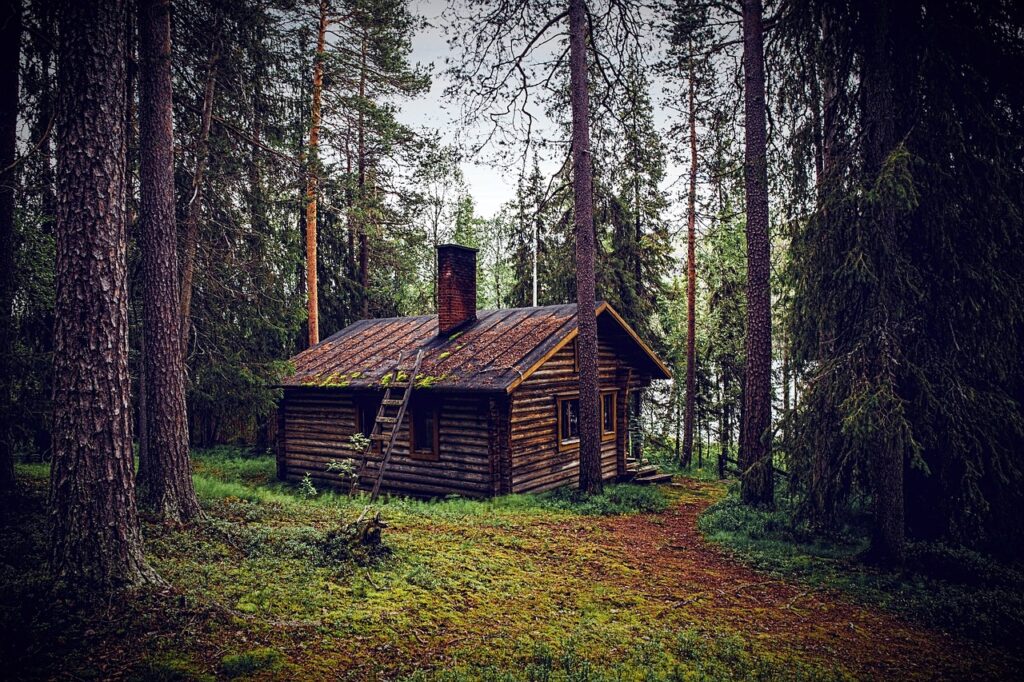 hut, forest, seefeld